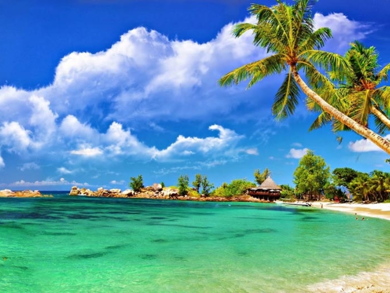 Amazing Andaman